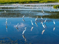 鏡頭 | 大美八月