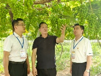 镜头 | 监督护航乡村振兴