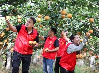 镜头 | 凉夜又秋分