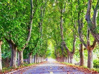 镜头 | 凉夜又秋分