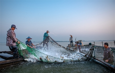 镜头 | 露从今夜白