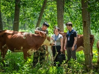 镜头 | 监督护航乡村振兴