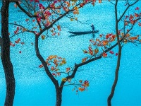 镜头 | 凉夜又秋分