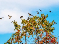 镜头 | 凉夜又秋分