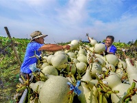 镜头 | 凉夜又秋分