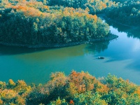 镜头 | 凉夜又秋分