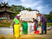 镜头 | 凉夜又秋分
