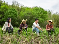 镜头 | 监督护航乡村振兴