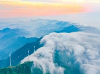 镜头 | 凉夜又秋分