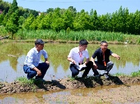 镜头 | 监督护航乡村振兴