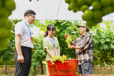 镜头 | 锻造过硬纪检监察铁军