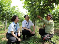 镜头 | 监督护航乡村振兴