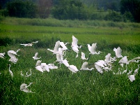 镜头 | 大美九月