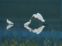 镜头 | 大美九月