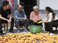 镜头 | 锻造高素质专业化纪检监察干部队伍
