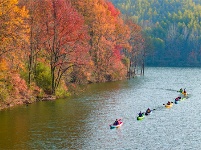 镜头 | 秋已暮 露成霜