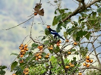 镜头 | 大美十月
