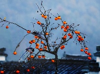 镜头 | 大美十月