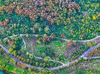 镜头 | 大美十月