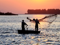 镜头 | 秋已暮 露成霜