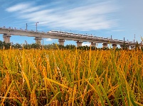 镜头 | 大美十月