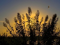 镜头 | 大美十月