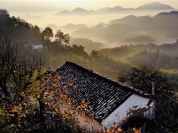 镜头 | 秋已暮 露成霜