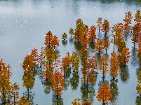 镜头 | 大美十月