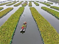 镜头 | 大美十月