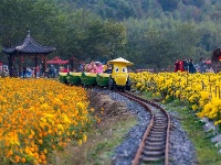 镜头 | 秋光冉冉映重阳