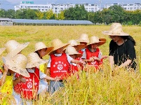 镜头|珍惜粮食  拒绝“剩”宴