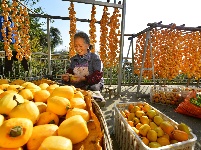 镜头 | 大美十月