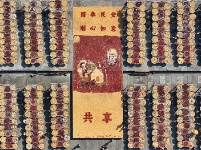 鏡頭 | 寒隨小雪至