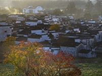 镜头 | 木叶尽落 冬序初开