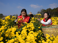 鏡頭 | 寒隨小雪至