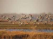 鏡頭 | 寒隨小雪至