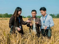 鏡頭  | 深入推進(jìn)風(fēng)腐同查同治