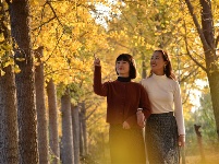 镜头 | 木叶尽落 冬序初开