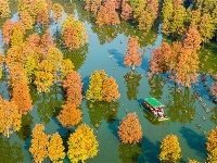 鏡頭 | 寒隨小雪至