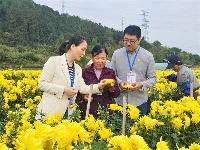 鏡頭  | 深入推進(jìn)風(fēng)腐同查同治