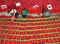 镜头 | 大美11月