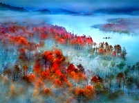 镜头 | 大美11月