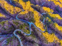 镜头 | 大美11月