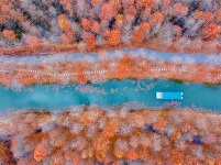 镜头 | 大美11月