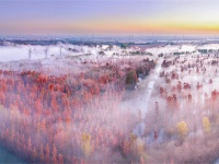 镜头 | 大美11月