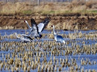 鏡頭 | 寒隨小雪至