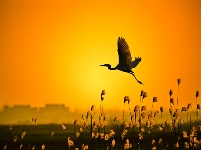 镜头 | 大美11月