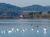 镜头 | 大美11月