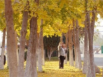 镜头 | 木叶尽落 冬序初开