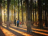 鏡頭 | 寒隨小雪至